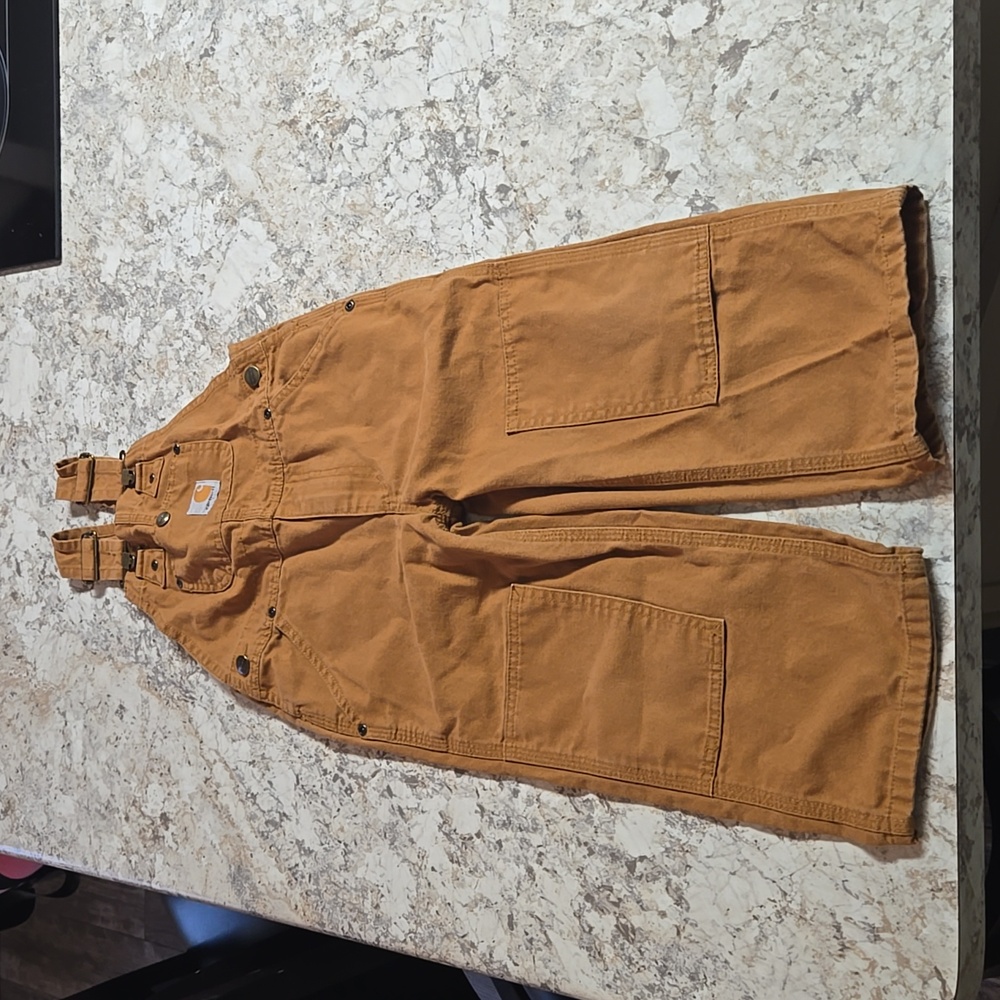 Carhartt Bibs